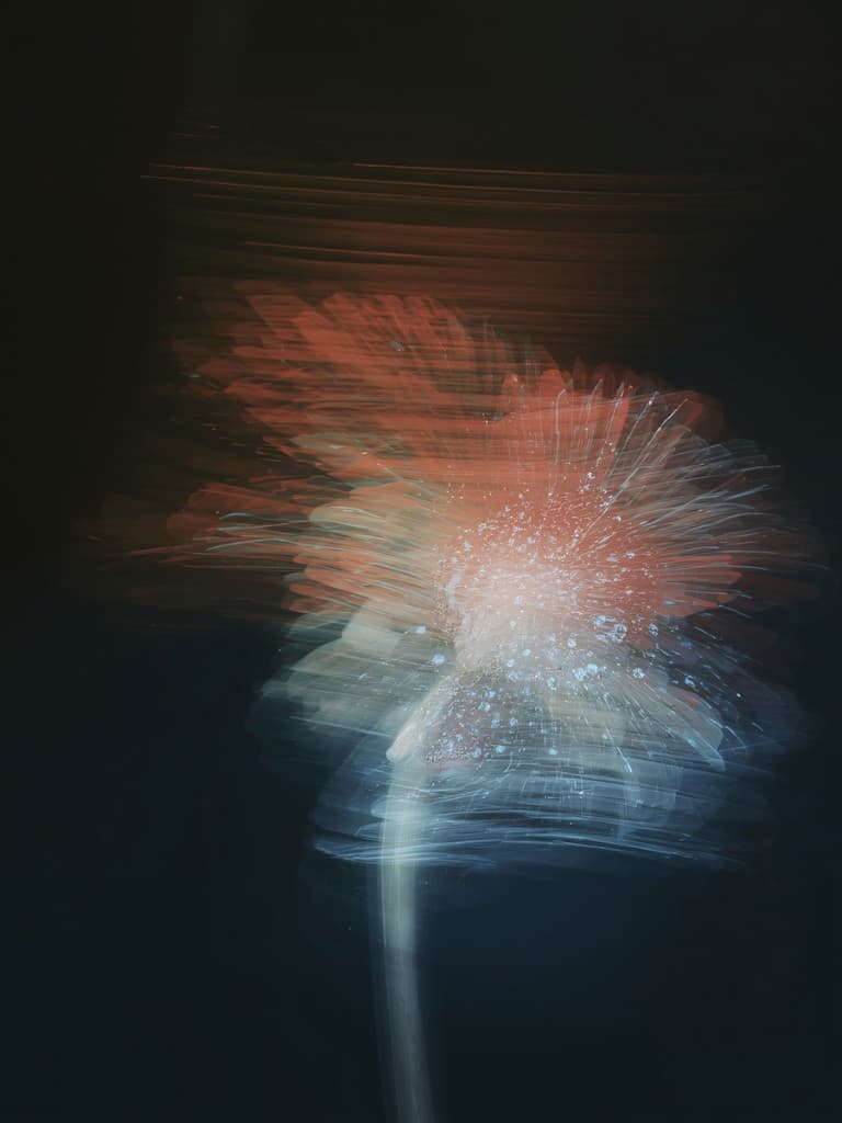 A flower in motion blur, radiating outward in soft color