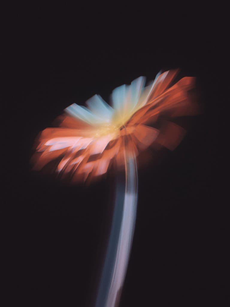 A flower in motion blur against a dark field
